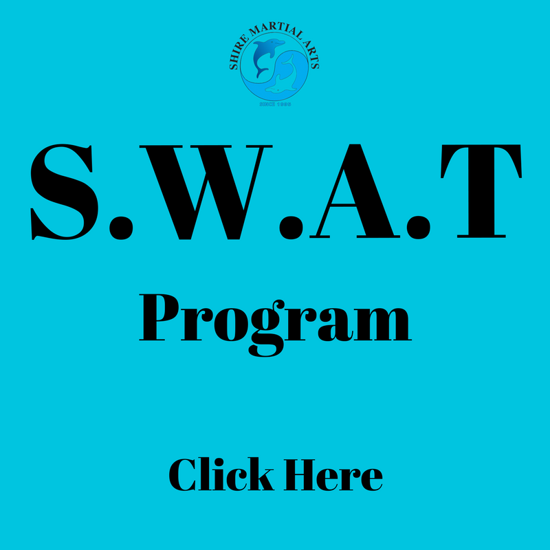 Shire Martial Arts SWAT leadership program graphics