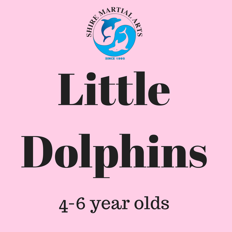 Little Dolphin graphic